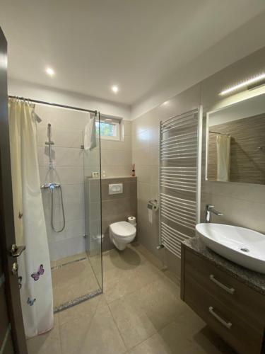 a bathroom with a shower and a toilet and a sink at MADISON RANCH in Szabolcsveresmart