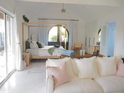ein Wohnzimmer mit einer weißen Couch und einem Bett in der Unterkunft Lemon Tree Studio in Beechworth