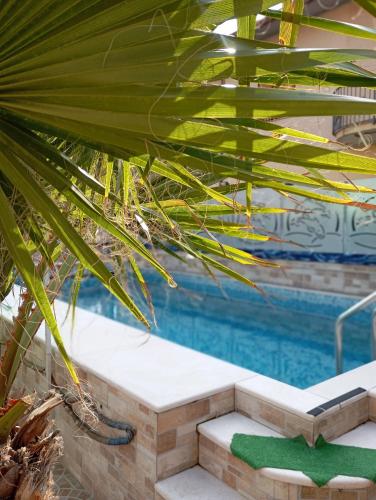 a palm tree next to a swimming pool at Bed And Breakfast ARIS in Benevento
