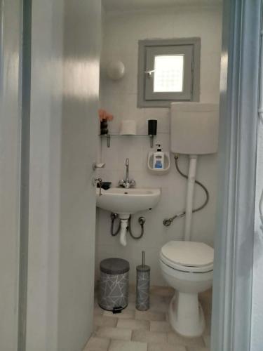 a small bathroom with a toilet and a sink at Δωμάτια Σοφία in Agios Kirykos