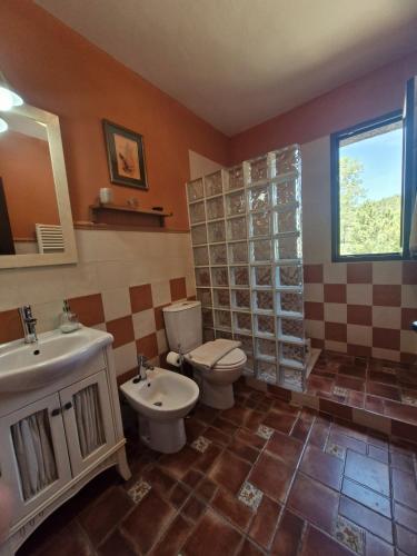 a bathroom with a toilet and a sink at LA CANTERICA in Fuentes de Rubielos