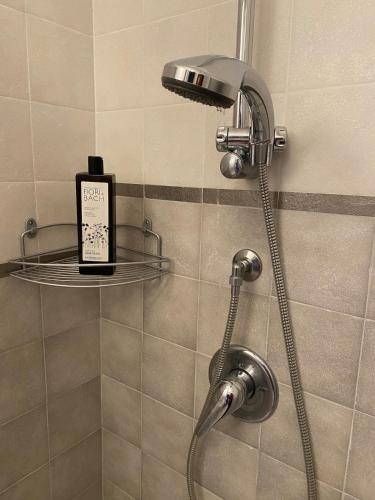 a shower with a shower head in a bathroom at La Meridiana Apartment in Ghiffa