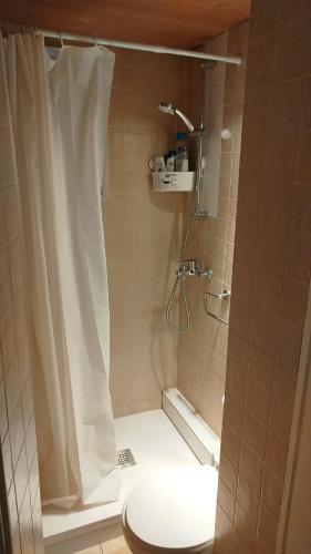 a bathroom with a shower with a toilet and a sink at Rooms in the center City in Barcelona