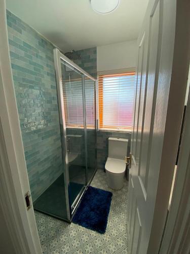 a bathroom with a toilet and a glass shower at Dunboyne Apartment in Dunboyne
