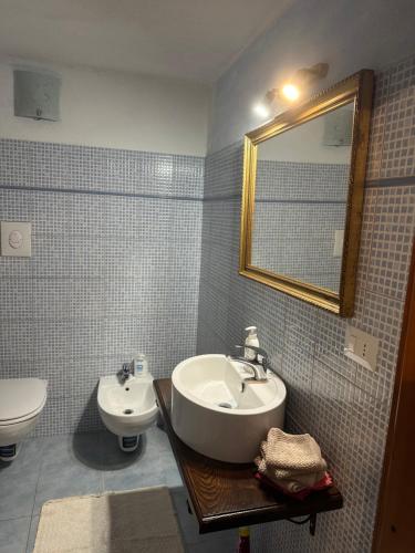 a bathroom with a sink and a toilet and a mirror at B&B Pudzones in Santu Lussurgiu