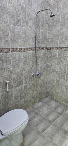 a bathroom with a toilet and a shower at Today House Suites 5 in Salalah