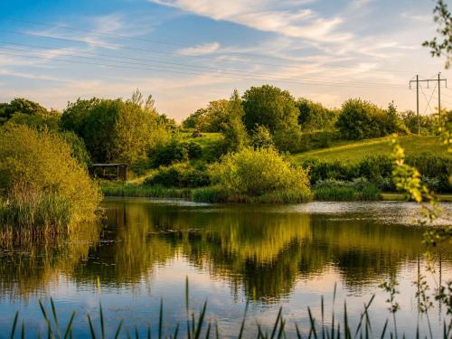 a view of a pond with trees and bushes at Krusmølle Glamping in Aabenraa