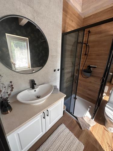 a bathroom with a sink and a mirror at SosnowoMi in Lubiatowo