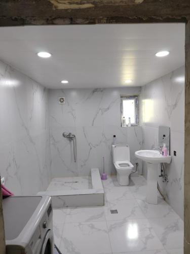 a white bathroom with a toilet and a sink at Ghulelebi - ღულელები in Ghulelebi