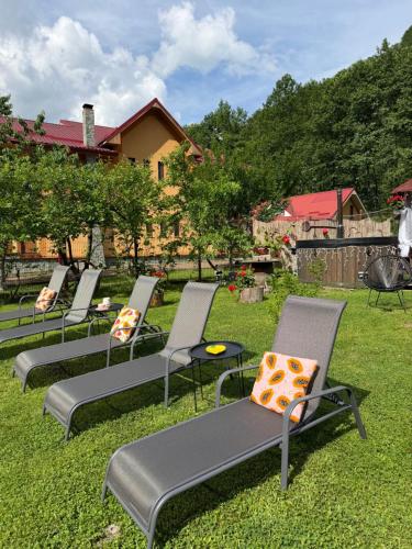 a row of chairs sitting in the grass at Pensiunea Cristalis in Săliştea