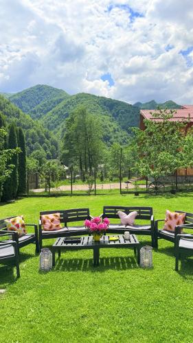 three benches sitting in a field with mountains in the background at Pensiunea Cristalis in Săliştea