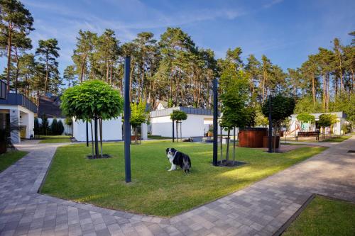 a dog sitting on the grass next to poles at LABA Wieleń in Wielen Zaobrzanski