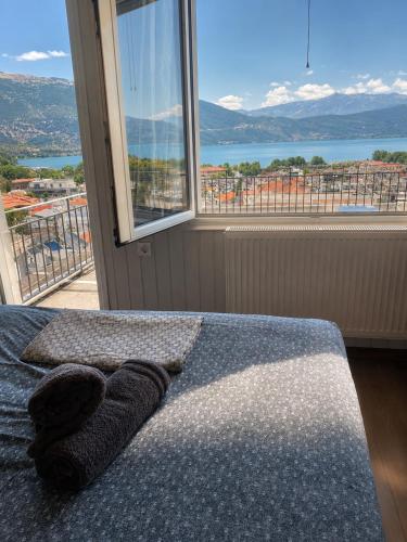 Skyline apartment Ioannina