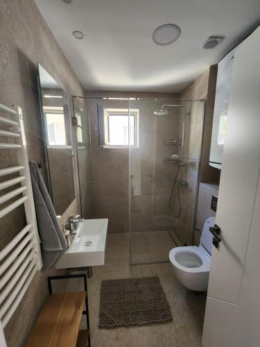 a bathroom with a shower and a sink and a toilet at Apartman Bloom 6 in Tivat