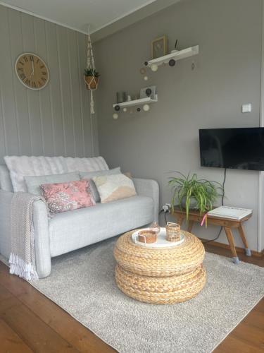 a living room with a couch and a coffee table at Tiny House Droom aan de Linge in Wadenoijen