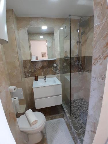 a bathroom with a shower and a toilet and a sink at Garsoniera Serena in Saturn