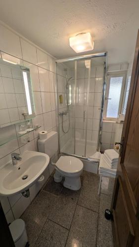 a bathroom with a sink and a toilet and a shower at Ferienhaus am Main in Veitshöchheim