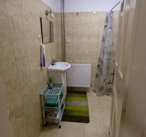 a small bathroom with a sink and a shower at Chalupa Za zeleným plotom in Pača