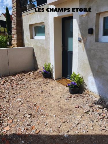 a house with two potted plants in front of a door at Les champs étoilé in Morschwiller