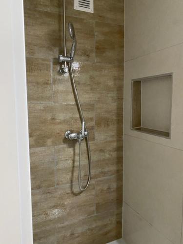 a shower with a hose in a bathroom at Cosy studio dans un quartier animé et pittoresque in Fribourg