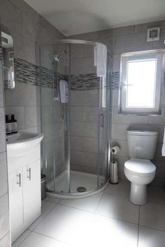 a bathroom with a shower and a toilet and a sink at The Yard Dungarvan in Dungarvan