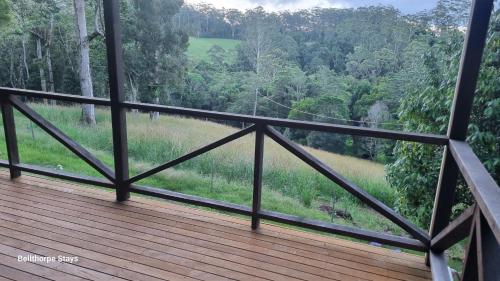 a wooden deck with a view of a forest at Bellthorpe Retreat in Bellthorpe