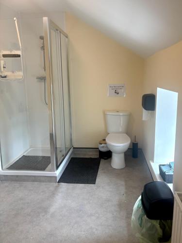 a bathroom with a shower and a toilet in it at Jennys Bar in Mullagh