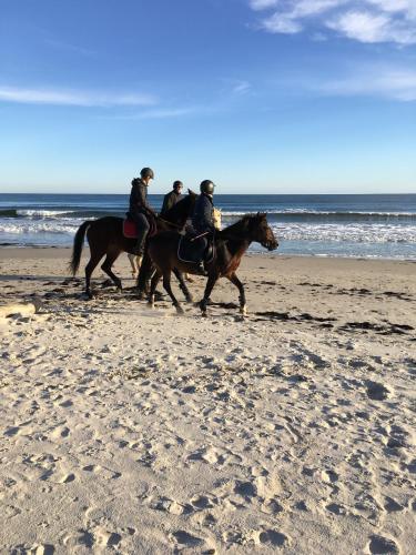 a group of people riding horses on the beach at Borregården Bed & Breakfast in Borrby