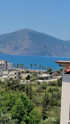 a bird flying over the ocean with palm trees at BNB Alehandro in Radhimë