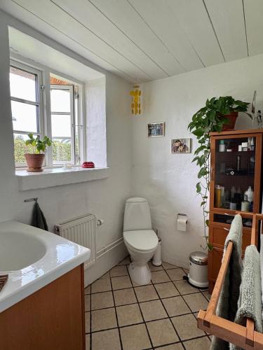 a bathroom with a toilet and a sink at Fred & Lyst in Stenløse