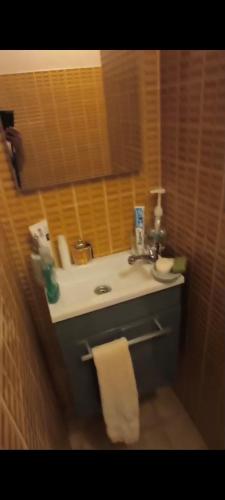 a bathroom with a sink and a white towel at Paradis Oyonnax in Bellignat
