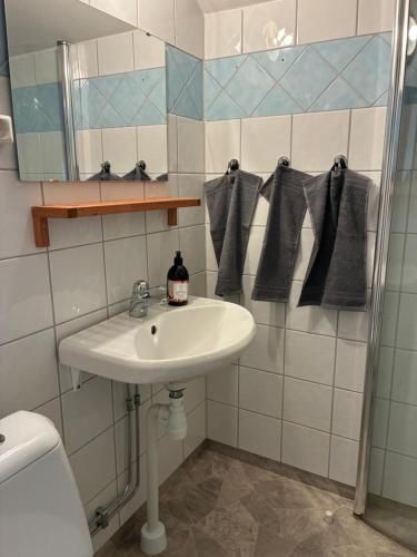 a bathroom with a sink and a mirror and a toilet at Strandvillan in Älandsbro