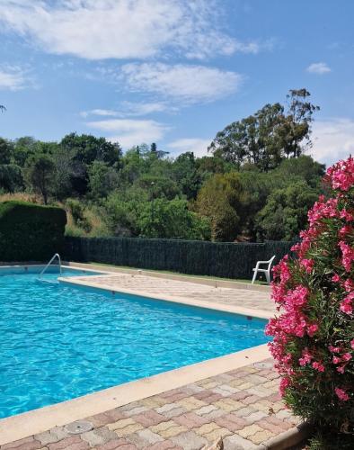 Superbe appartement au calme proche Croisette