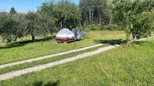 ein Zelt auf einem Feld neben einem Feldweg in der Unterkunft Wiesenbett unterm Nachthimmel in Regen