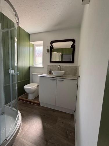 a bathroom with a sink and a toilet and a mirror at Sleeps 5 with in picturesque Chiddingly in Lewes