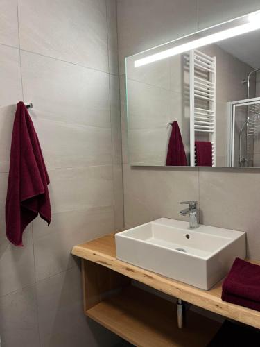 a bathroom with a white sink and a mirror at Haus Casimir in Reith im Alpbachtal