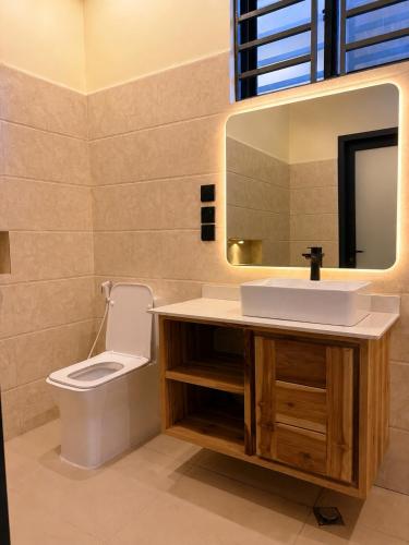 a bathroom with a sink and a toilet at Cozynest nungwi in Nungwi