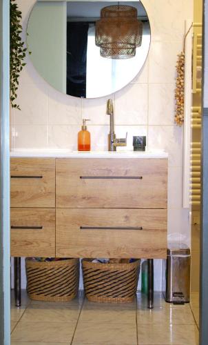 a bathroom with a sink and a mirror at Maison Familiale in Reugny