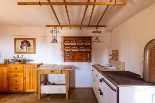 a kitchen with a stove and a counter top at Ochsenwaldhütte in Teschrepl