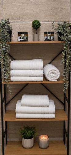 a shelf with towels and plants and a candle at Glamping Lake Escape in Virpazar