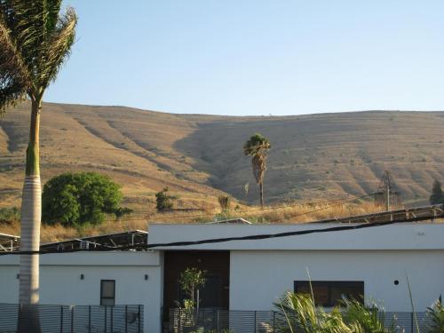 a white building with a palm tree and a hill at נוף יבנאל in Yavneʼel