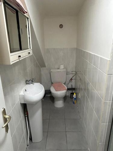 a small bathroom with a toilet and a sink at myappart - FORBACH in Forbach