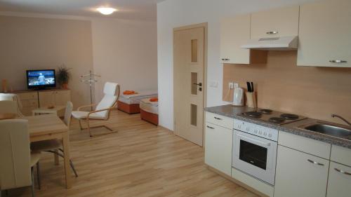 a kitchen with a sink and a stove top oven at Ernesta Club Lipno in Lipno nad Vltavou