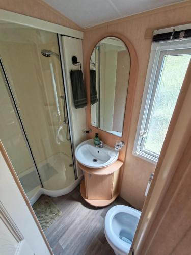 a bathroom with a sink and a shower and a toilet at Winnie the Mobile Home in Galway