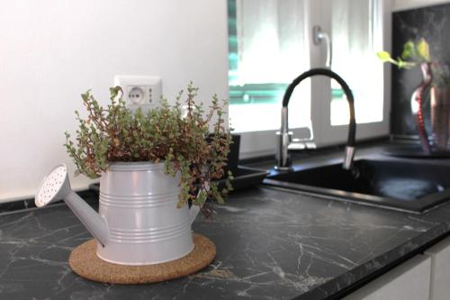 a plant in a watering can on a kitchen counter at Glycine House in Varese
