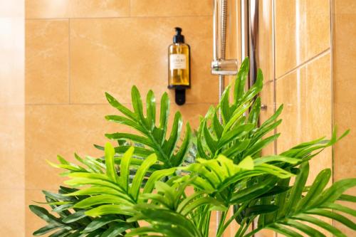 a green plant in front of a wall with a fire extinguisher at Pouso Du'Vagar in Cuba