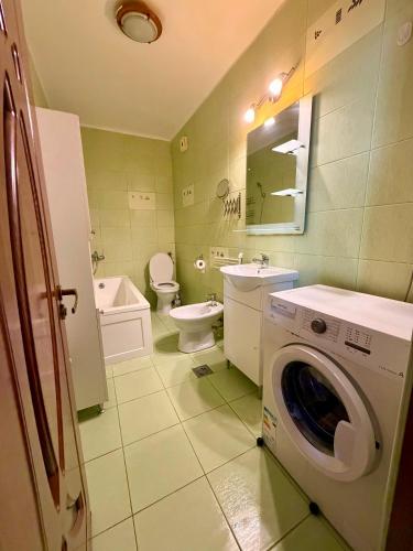 a bathroom with a washer and a washing machine in it at Stejarului Apartment in Floreşti