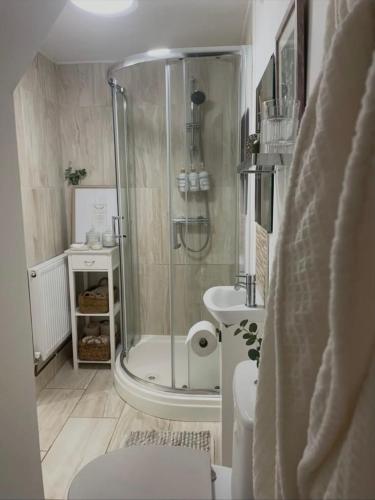 a bathroom with a shower and a toilet and a sink at Breach Lodge in Bonvilston