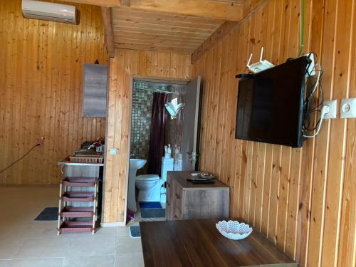 a living room with a television and a bathroom at Valdi Guest Shekvetili in Shekhvetili
