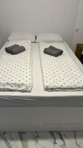 Luxury Apartmant